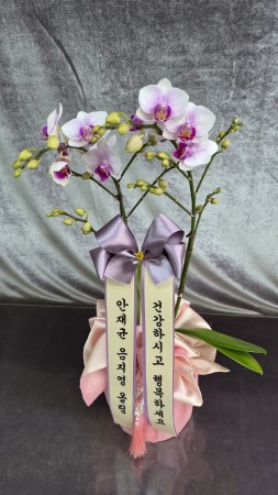[����] ������ �������� ���ڱ� ���� - ��ũ���̵� (�߼�) �ɹ�� ���� 