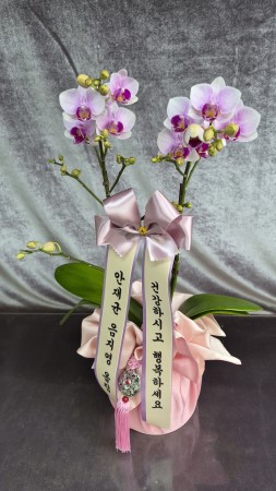 [����] ������ �������� ���ڱ� ���� - ��ũ���̵� (�߼�) �ɹ�� ���� 