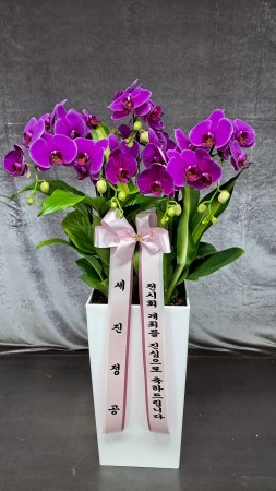 Office&Nature - ���޽��� �Ұ���ġ �ɹ�� ���� 