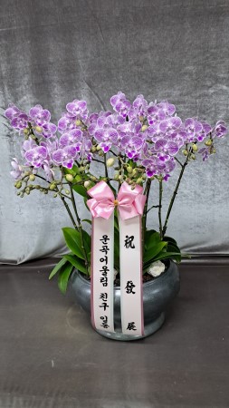 �ź��� ������ ǳ���� ����� (������ ȭ�Ⱑ ���� �� �� �ֽ��ϴ�) �ɹ�� ���� 