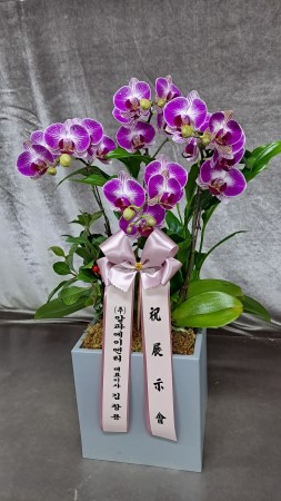 Office&Nature - ���̰� �Ƹ��ٿ� ���Ƽ (��) �ɹ�� ���� 