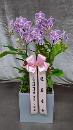 ������ ���� ���� -����ũȣ�� (��) �ɹ�� ���� 