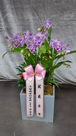 ������ ���� ���� -����ũȣ�� (��) �ɹ�� ���� 