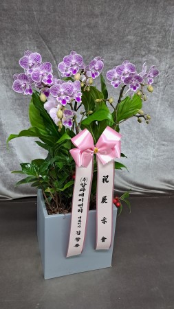 ������ ���� ���� -����ũȣ�� (��) �ɹ�� ���� 