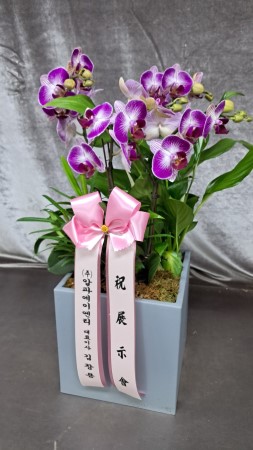 Office&Nature - ���̰� �Ƹ��ٿ� ���Ƽ (��) �ɹ�� ���� 