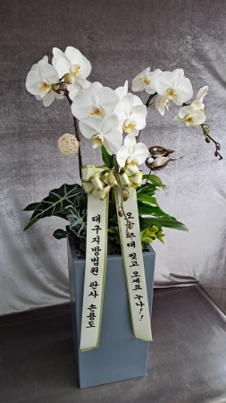 �ü��� �ӹ��� �ϴ� �Ĺ� - ����� �ŷ����� ȭ��Ʈ ȣ���� (��) �ɹ�� ���� 