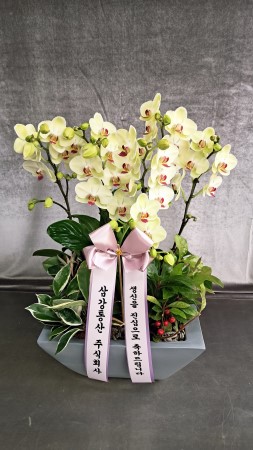 �ڿ��� ������ ����! - ���� (��) �ɹ�� ���� 