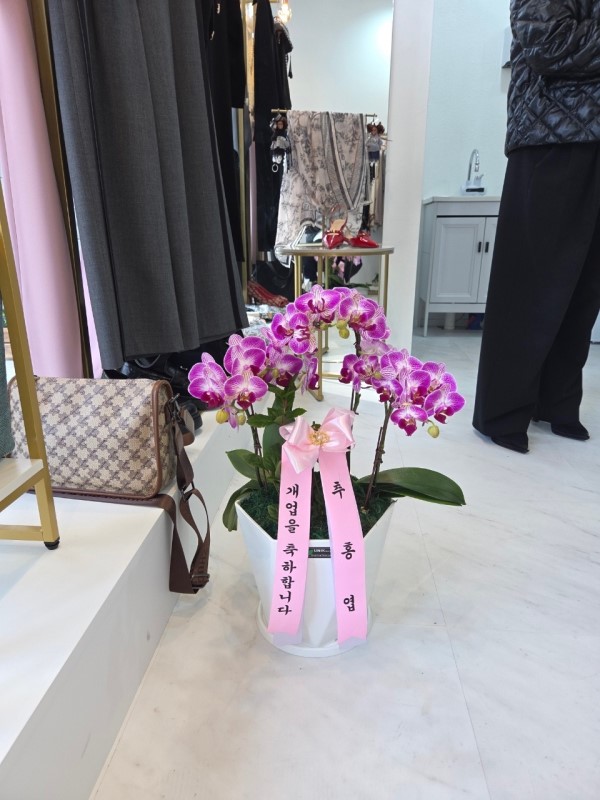 ������ ���� ���� -����ũȣ�� (��) �ɹ�� ���� 