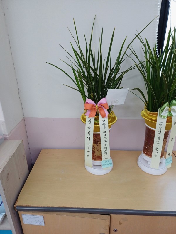 [�λ��̵� ��õ] ���� ���� �Ǿ��ִ� ����� �ɹ�� ���� 