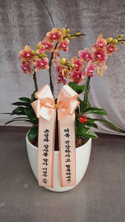 [����]�����ϴ� ���� ��� - ȣ���� ����� (��) (ȭ�⺯��) �ɹ�� ���� 