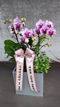 ������ ���� ���� -����ũȣ�� (��) �ɹ�� ���� 