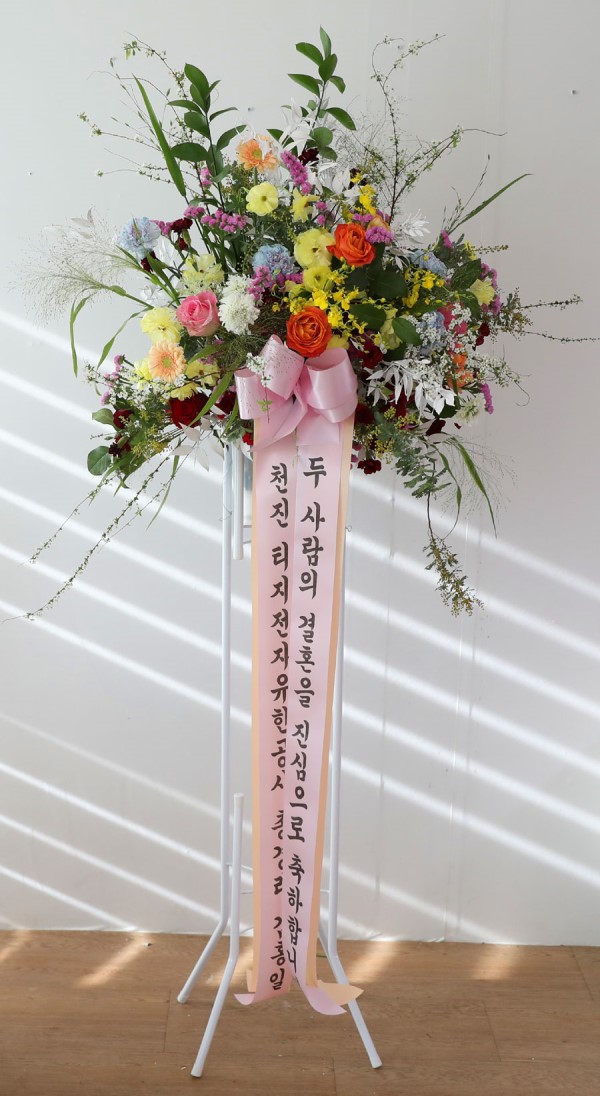 ��ȥ�� ����ȭȯ -��ȥ�� ���� �뷡 �ɹ�� ���� 