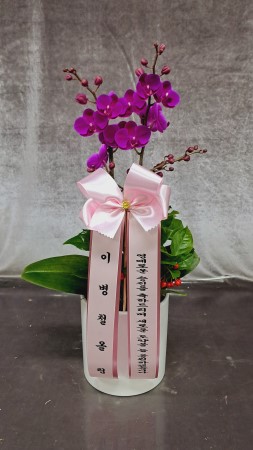 �Ƹ��ٿ��� �ִ� ���� - ������ ��õȫ(ȭ�⺯��) �ɹ�� ���� 