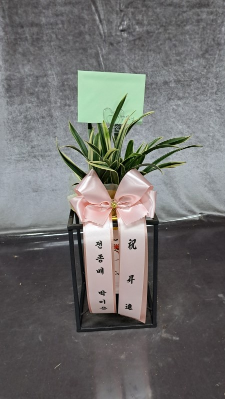 Office & Nature �뱹 �ɹ�� ���� 