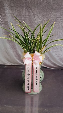 ������ ������ ����ϴ� Ȳ�ݺ� ����, ����� ��Ȳ�� �ɹ�� ���� 