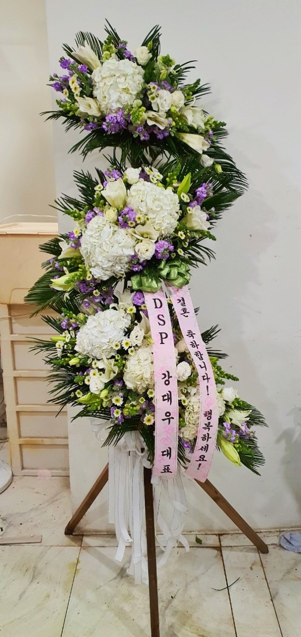   մϴ- ö119 3ȭȯ ɹ  