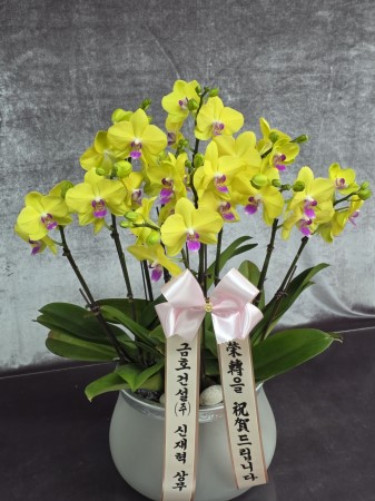 Office & Nature -   ȣ  () ɹ  