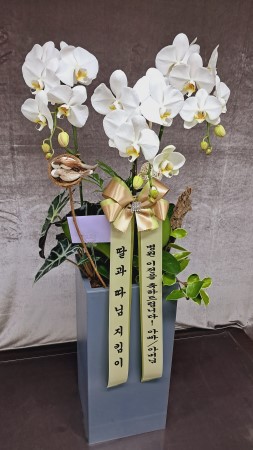 ü ӹ ϴ Ĺ -  ŷ ȭƮ ȣ () ɹ  