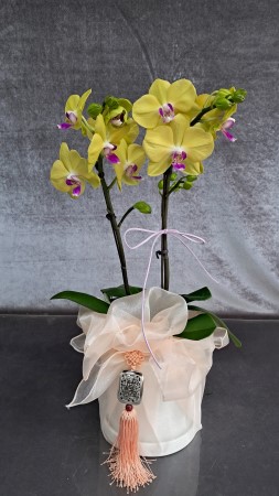 [����] ������ �������� ���ڱ� ���� - ��� ȣ���� (��) �ɹ�� ���� 