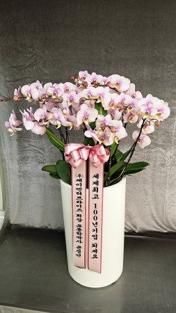 �����ôº��� ǰ��!! - �ö��119 ȣ���� �ɹ�� ���� 