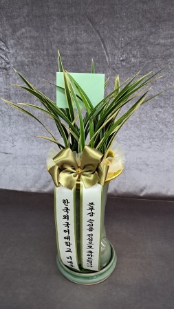 Ȳ�ݺ� ������ �ݱ� �ɹ�� ���� 