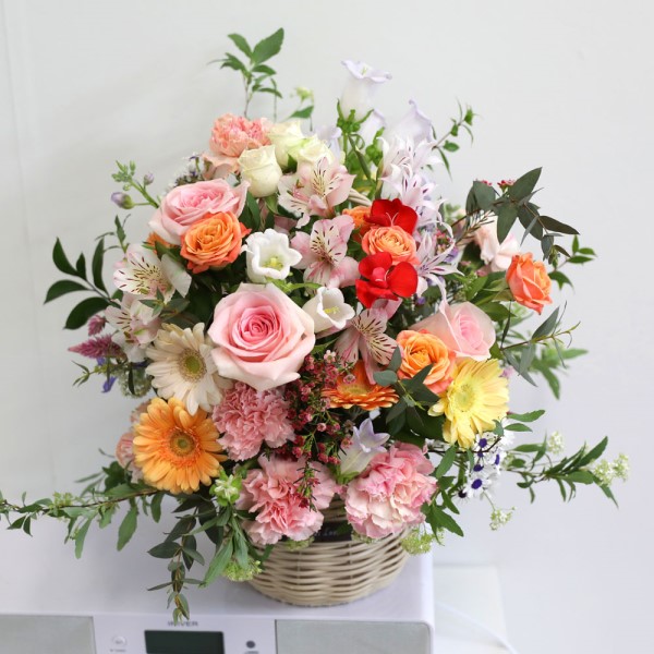 ��ũ�� ����� ���� �ɹ�� ���� 