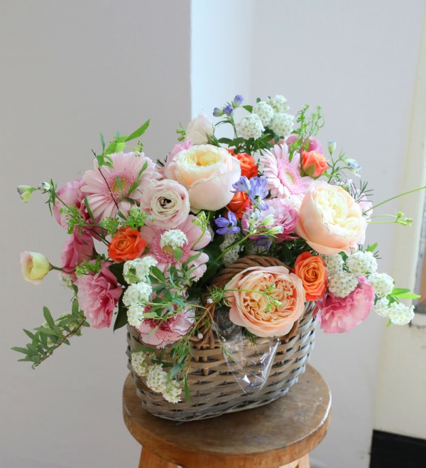 [�������]����̾߱� �ɹ�� ���� 