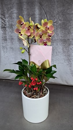 [����]�����ϴ� ���� ��� - ȣ���� ����� (��) (ȭ�⺯��) �ɹ�� ���� 