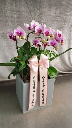 ������ ���� ���� -����ũȣ�� (��) �ɹ�� ���� 