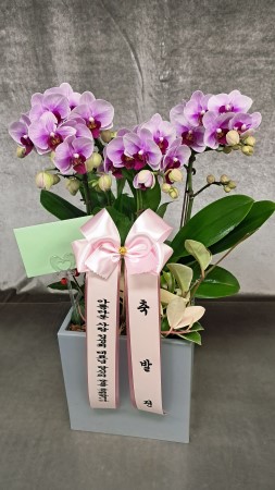 ������ ���� ���� -����ũȣ�� (��) �ɹ�� ���� 