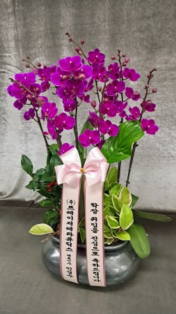 [����]��Ȱ������ ȭ���ϰ� - ��õȫ (��)(ȭ�⺯��) �ɹ�� ���� 