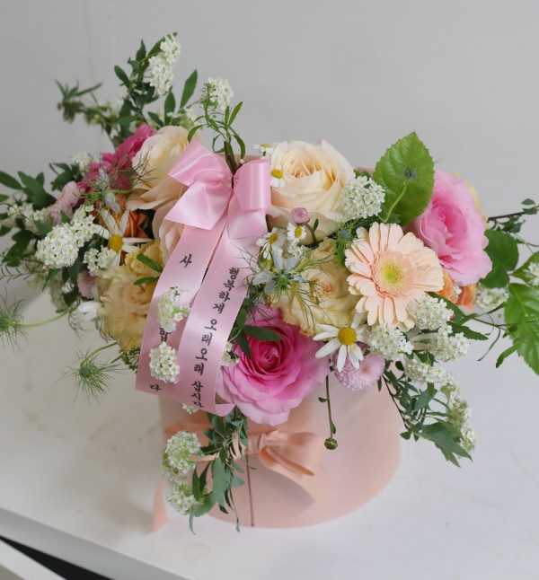 [����/�����ǹ��]Chic feminine Pink lady �ɹ�� ���� 