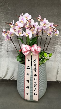 Office&Nature - ���� ���� �˳��� ��ġ����ũ (��) �ɹ�� ���� 