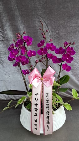 ������ ���� ���Ͽ� ����, ���� ��ũ ȣ���� ��õȫ �ɹ�� ���� 