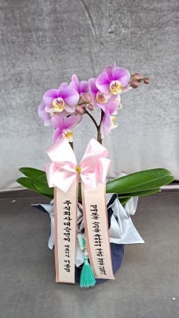 [����] ������ �������� ���ڱ� ���� - ���� (��) �ɹ�� ���� 