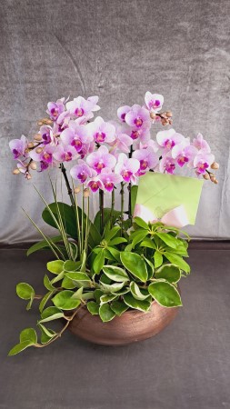 [����,������]����� ������ ���� - ��ũ ȣ���� (��) (ȭ�⺯��) �ɹ�� ���� 