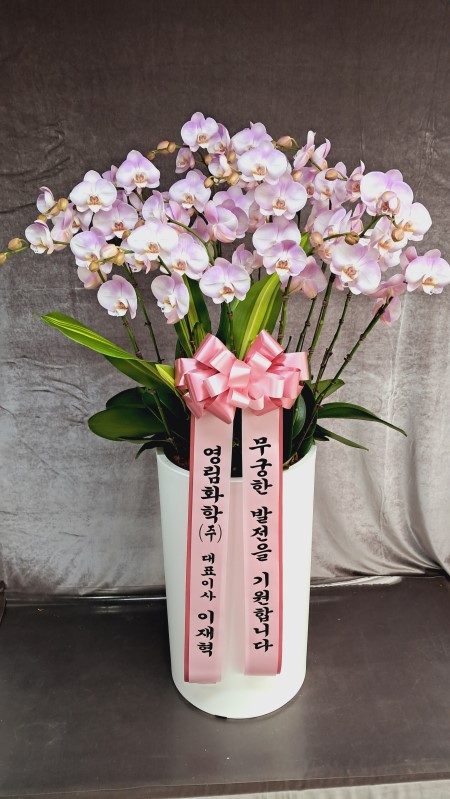 �����ôº��� ǰ��!! - �ö��119 ȣ���� �ɹ�� ���� 