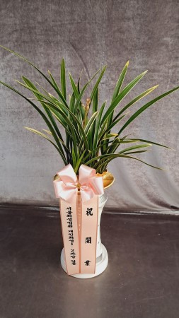 [�λ��̵� ��õ] ���� ���� �Ǿ��ִ� ����� �ɹ�� ���� 