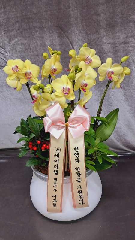 ������ ������ ����� �Բ� ������, ��� ȣ���� �ɹ�� ���� 