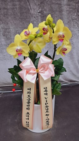 �簢ȭ���� ������/���簢ȭ��� ���� �ɹ�� ���� 