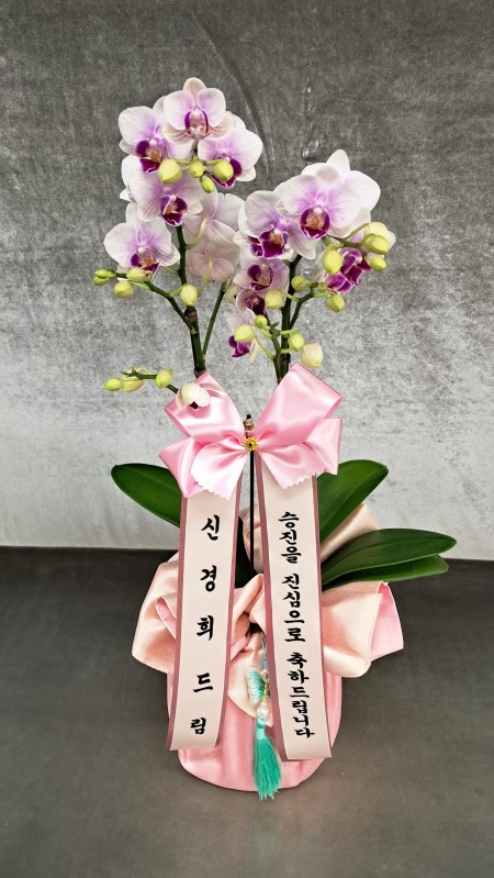 [����] ������ �������� ���ڱ� ���� - ��ũ���̵� (�߼�) �ɹ�� ���� 