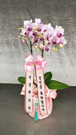 [����] ������ �������� ���ڱ� ���� - ��ũ���̵� (�߼�) �ɹ�� ���� 