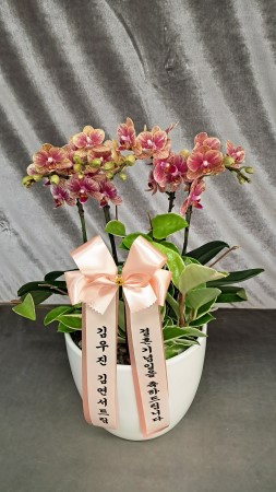 [����]�����ϴ� ���� ��� - ȣ���� ����� (��) (ȭ�⺯��) �ɹ�� ���� 