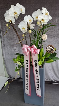 �ü��� �ӹ��� �ϴ� �Ĺ� - ����� �ŷ����� ȭ��Ʈ ȣ���� (��) �ɹ�� ���� 