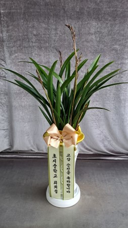 [�λ��̵� ��õ] �Ͼ���� �Ǿ�� ���� ����� �ɹ�� ���� 