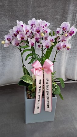 ������ ���� ���� -����ũȣ�� (��) �ɹ�� ���� 