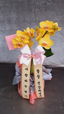 [����] ������ �������� ���ڱ� ���� - ��� ȣ���� (��) �ɹ�� ���� 