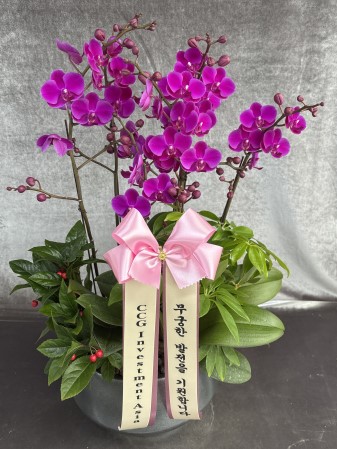 [����]�Ƹ��ٿ��� �ִ� ���� - ���� ȭ���� ��õȫ (��) (ȭ�⺯��) �ɹ�� ���� 