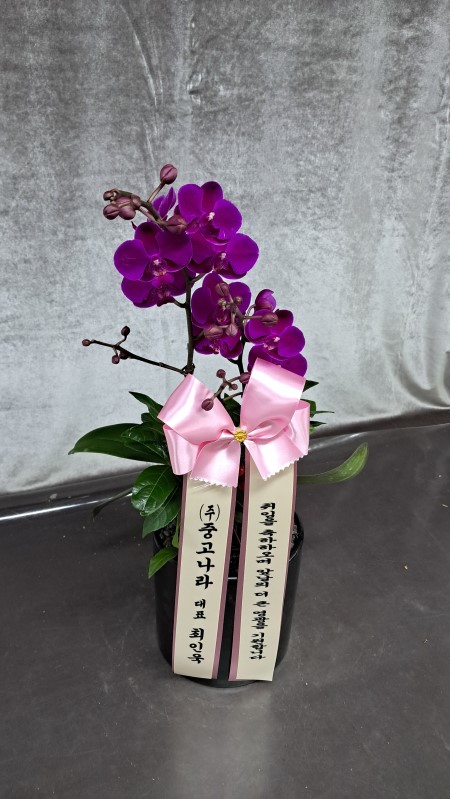 �簢ȭ���� ��õȫ (��) �ɹ�� ���� 