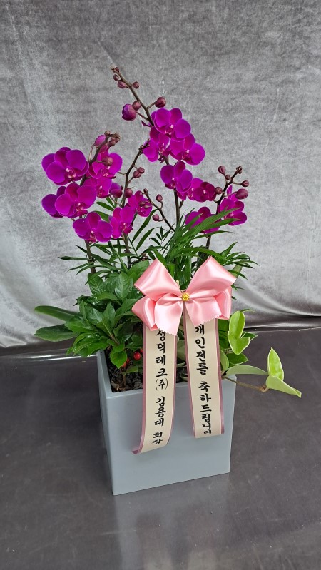 [����]����� ��õȫ (�߼�) (ȭ�⺯��) �ɹ�� ���� 